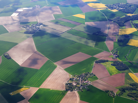 Agriculture : observer pour optimiser - CNES | Pour innover en agriculture | Scoop.it