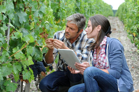 Le digital &agrave; la conqu&ecirc;te de nos vignobles - Chambres d'agriculture France | Pour innover en agriculture | Scoop.it