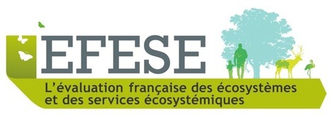 L&rsquo;&eacute;valuation fran&ccedil;aise des &eacute;cosyst&egrave;mes et des services &eacute;cosyst&eacute;miques | ECOLOGIE - ENVIRONNEMENT | Scoop.it