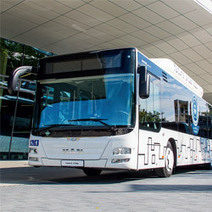 La ville de Bordeaux s équipe en bus MAN roulant au GNV / Biogaz | Les grands projets de la Gironde | Scoop.it