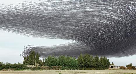 If Birds Left Tracks in the Sky, They’d Look Like This | pixels and pictures | Scoop.it