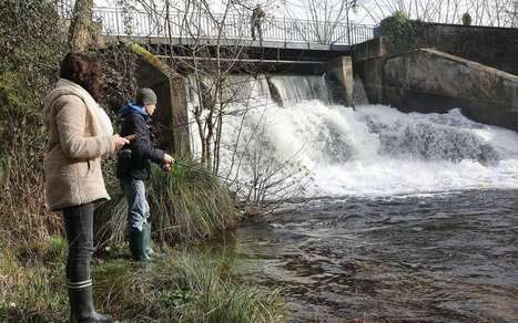 Brocas (40) : comment sauvegarder l’étang, mémoire de l’histoire landaise ?  | Landes | Scoop.it