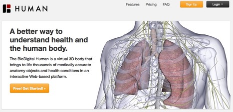 BioDigital Human: Explore the Body in 3D! | Simulation in Health Sciences Education | Scoop.it