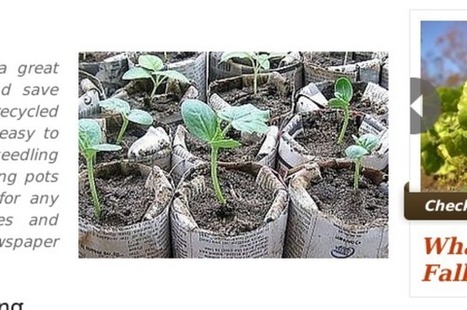 Make Sturdy Recycled Newspaper Pots | Gardening Life | Scoop.it
