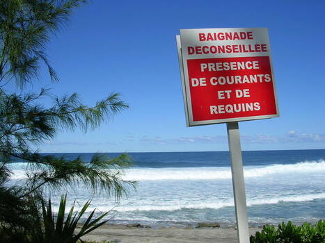 Brice Hortefeux : "Avec le PS, nous n'avons pas le r&ecirc;ve mais le mensonge !" | Chronique des Droits de l'Homme | Scoop.it