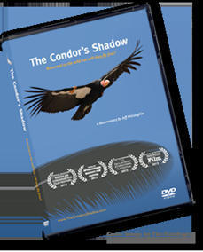 The Condor's Shadow: A Documentary Film on the California Condor | Galapagos | Scoop.it