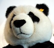 Google Panda Update &ndash; Visits, Bounce Rate & Page Impressions als Rankingsignale? | Kennstdueinen.de Blog | Google Penalty World | Scoop.it