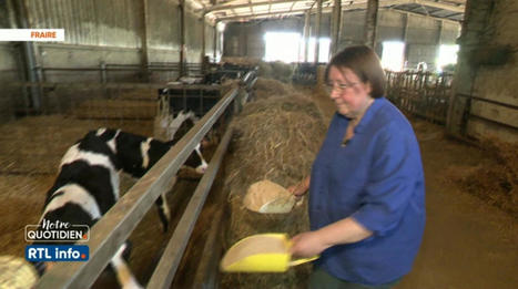 Des producteurs belges de lait s'allient pour se passer des industriels | Lait de Normandie... et d'ailleurs | Scoop.it