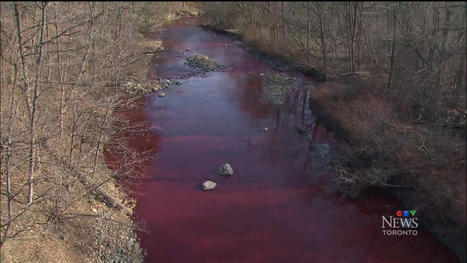 Chemical spill in Etobicoke Creek leaks to 3 outfall locations downstream | CTV News / le 11.04.2024 | Pollution accidentelle des eaux (+ déchets plastiques) | Scoop.it
