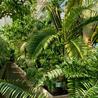 Plant Conferences