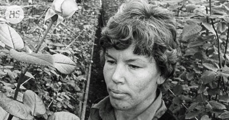 HS 50 vuotta sitten 14.10.1976 | HS.fi | Lehti | Scoop.it