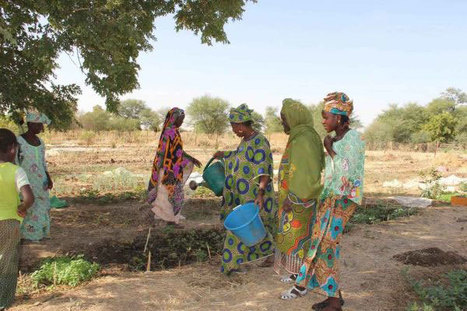 Sahel: en dépit du renforcement de l'assistance, la crise alimentaire persiste, selon le PAM | Questions de développement ... | Scoop.it