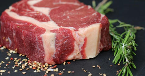 Comment les réglementations sur la viande varient-elles dans le monde ? | Actualité Bétail | Scoop.it
