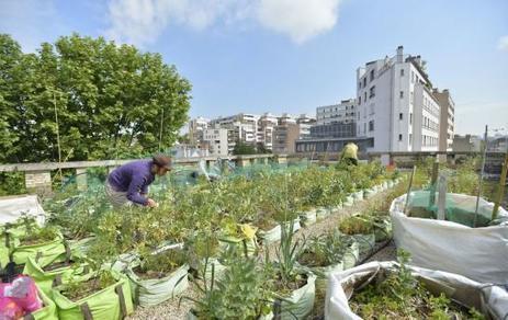 « Nous allons ouvrir une ferme urbaine de 2 500 m2 dans Paris » | Tout le web | Scoop.it