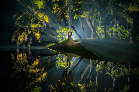 25 Of The Best Award-Winning Wedding Photographs Of 2014 | Everything Photographic | Scoop.it