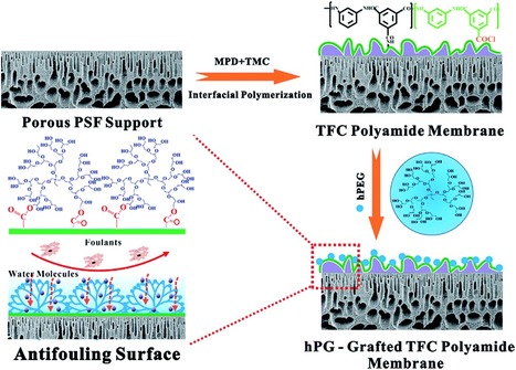 Modification of thin film composite polyamide membranes with 3D hyperbranched polyglycerol for simultaneous improvement in their filtration performance and antifouling properties | Tailored Expertise Sourcing & Market Intelligence in Global Consulting | Scoop.it