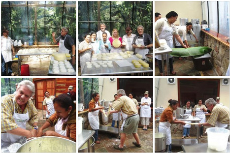 Cheese Making in Belize | Cayo Scoop!  The Ecology of Cayo Culture | Scoop.it