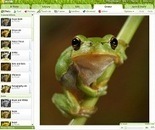 Google Chrome: un mundo de aplicaciones y extensiones | Debates : Protagonistas | educ.ar | Pedalogica: educaci&oacute;n y TIC | Scoop.it