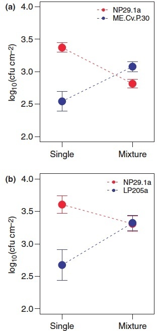 Ecology Letters: Cheating, trade-offs and the evolution of aggressiveness in a natural pathogen population | Plants and Microbes | Scoop.it