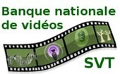 Banque nationale de vidéos sur les SVT | Insect Archive | Scoop.it