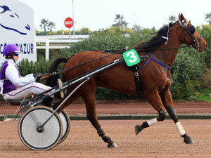 Pronostic pmu pour le quint&eacute; + de mardi 10 mai 2011 &agrave; Toulouse | 10 mai | Scoop.it