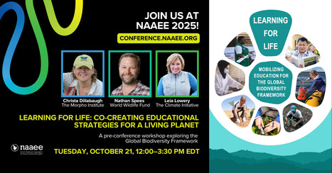 Morpho is presenting at NAAEE 2025! | RAINFOREST EXPLORER | Scoop.it