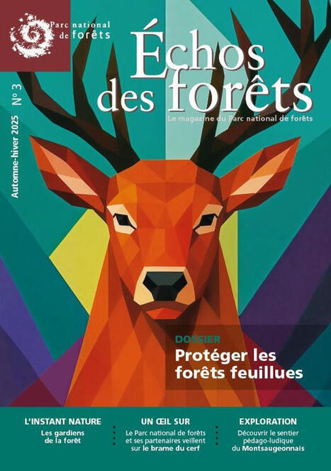 Échos des forêts N°3 - Automne-hiver 2025 - Parc national de forêts | Biodiversité | Scoop.it