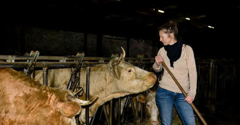 Bourgogne Franche-Comté: Le Bœuf éthique, premier abattoir mobile et éthique de France, sillonnera dès juin les routes de la région | Actualité Bétail | Scoop.it