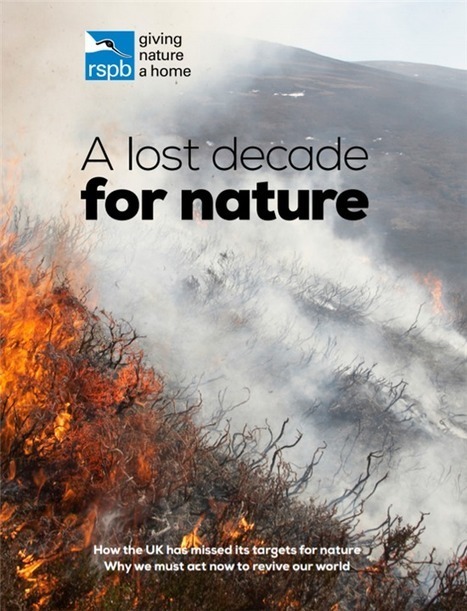 It’s been a lost decade - it’s time to revive our world - Martin Harper's blog - The RSPB Community | Biodiversité | Scoop.it