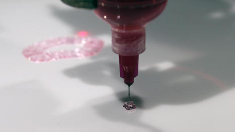 New 3D bioprinter to reproduce human organs, change the face of healthcare | TechRepublic | Public Relations & Social Marketing Insight | Scoop.it