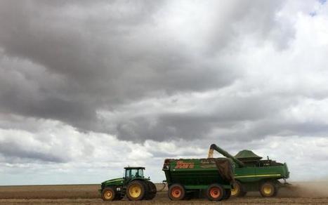 Brazil farmers 'hope for a miracle,' hoard soybeans | AMÉRIQUES | Scoop.it