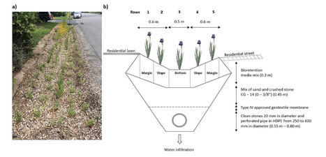 Original Paper in Ecol Eng • Grégoire Lab 2024 • Plant survival and growth in bioretention cells under a cold climate | Originals | Scoop.it