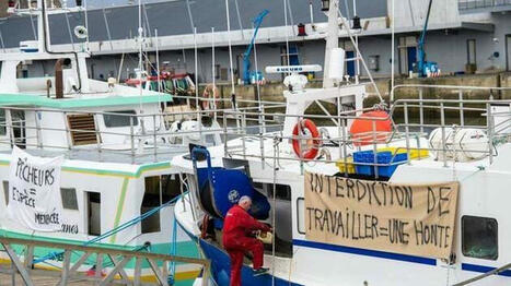 Golfe de Gascogne fermé à la pêche : les rapporteurs du Sénat en mission sur le terrain en février | HALIEUTIQUE MER ET LITTORAL | Scoop.it