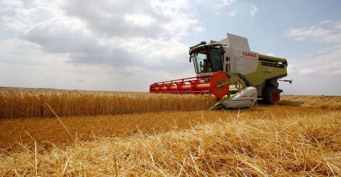 Agriculture française: un trésor national en danger – Economie