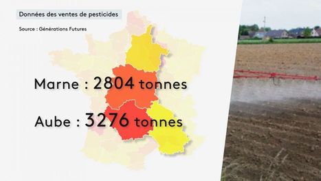 Ventes de pesticides : l'Aube et la Marne (de nouveau) sur le podium des plus gros consommateurs | veille territoriale | Scoop.it