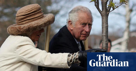 Duchies of Lancaster and Cornwall snub tree campaigners | Trees and forests | The Guardian | Operation Deimos | Scoop.it