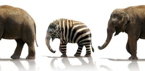 How I Make Stuff from Nothing :: Ash Huang :: Medium | Cultivating Creativity | Scoop.it