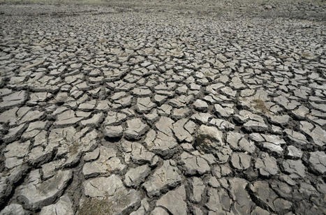 Sécheresse : 72 % des nappes phréatiques sous les normales | Regards croisés sur la transition écologique | Scoop.it