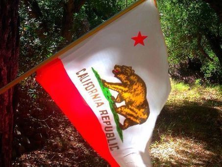 California Straw Ban Proposal | Coastal Restoration | Scoop.it