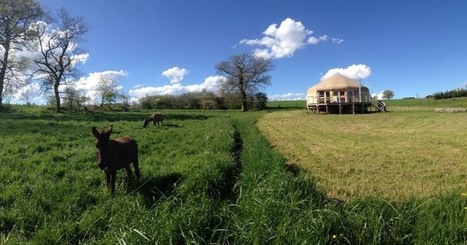 [Dossier] Yourte contemporaine : comment concilier confort et réglementation ? | Build Green, pour un habitat écologique | Scoop.it