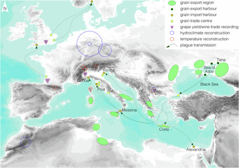Comment une &eacute;ruption volcanique a&nbsp;pr&eacute;par&eacute; le terrain pour la peste noire | Pour la Science | EntomoNews | Scoop.it
