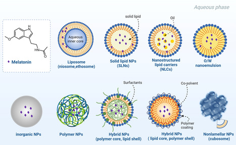 Les perspectives de la nanomédecine dans l'étude de la mélatonine et du système nerveux | Life Sciences Université Paris-Saclay | Scoop.it