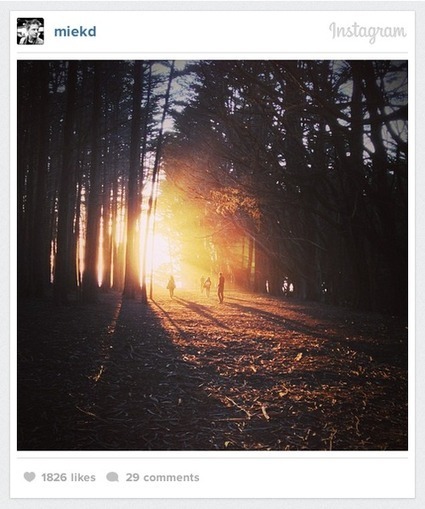 Introducing Instagram Web Embeds | API's on the web | Scoop.it