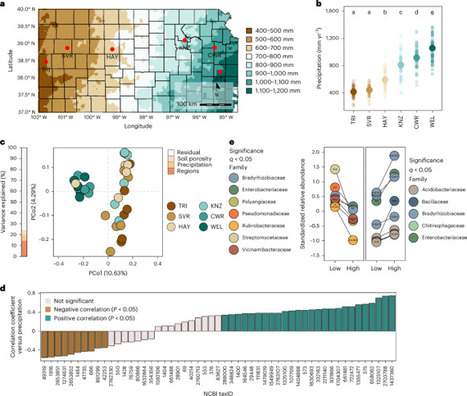 Precipitation legacy effects on soil microbiota facilitate adaptive drought responses in plants | Nature Microbiology | Plant-Microbe Symbiosis | Scoop.it