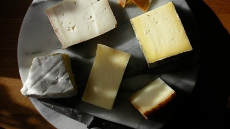 Brexit churns unease for Britain’s speciality cheese | EUROPES | Scoop.it