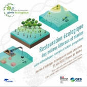 Journées d'échanges scientifiques et techniques : Restauration des milieux littoraux et marins | Biodiversité | Scoop.it