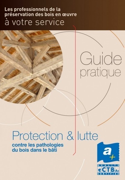 Guide pratique pour tout savoir sur les ennemis du bois | Build Green, pour un habitat écologique | Scoop.it