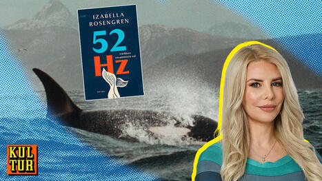 &rdquo;52Hz &ndash; v&auml;rldens ensammaste val&rdquo; av Izabella Rosengren |&nbsp;recension | 1Uutiset - Lukemisen t&auml;hden | Scoop.it