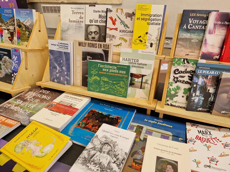 Ces nouvelles maisons d&rsquo;&eacute;dition qui redessinent le paysage ind&eacute;pendant | L'actualit&eacute; des biblioth&egrave;ques | Scoop.it