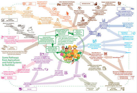 The road ahead: Evaluators must promote learning for adaptive development processes | Evaluación de Políticas Públicas - Actualidad y noticias | Scoop.it